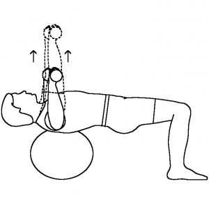 hep2g0-v-exercise-pro-live