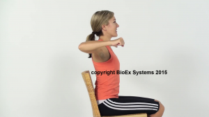 Posture correction rows