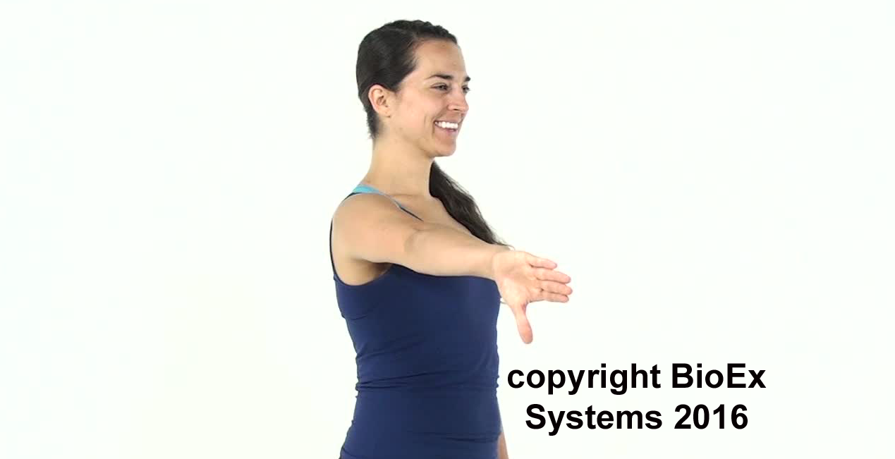 shoulder exercise training