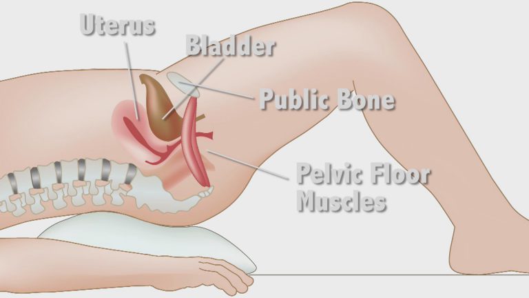 pelvic floor education