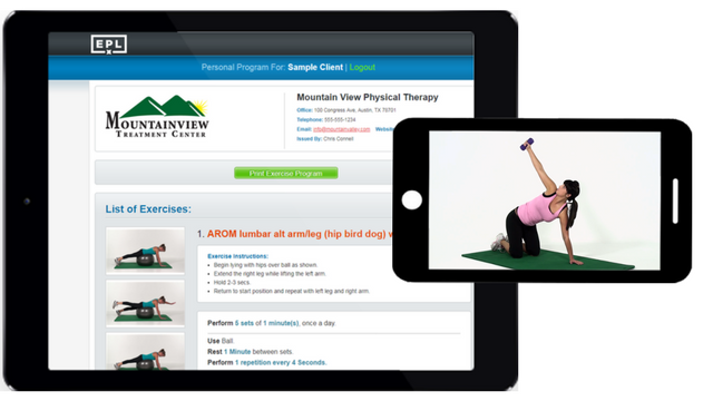 physical therapy software