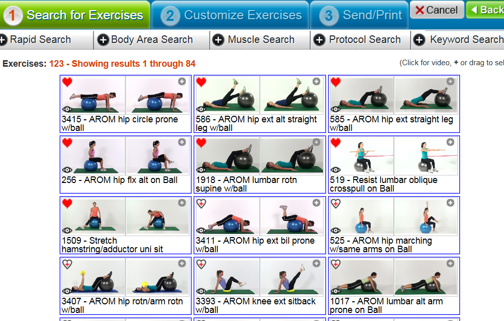 physical therapy home exercise software