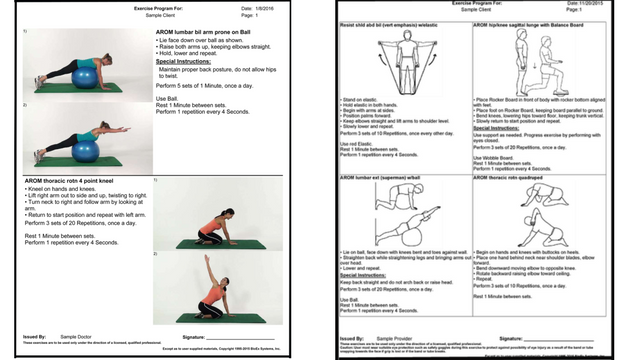 physical therapy software