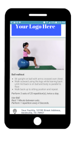 physical therapy home exercise software