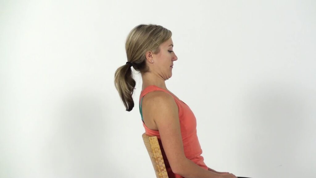 Home Exercise Software for Chiropractors