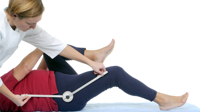 Physical Therapy Exercise Program