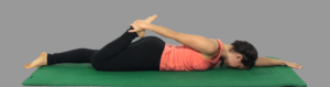 senior living therapy software physical therapy